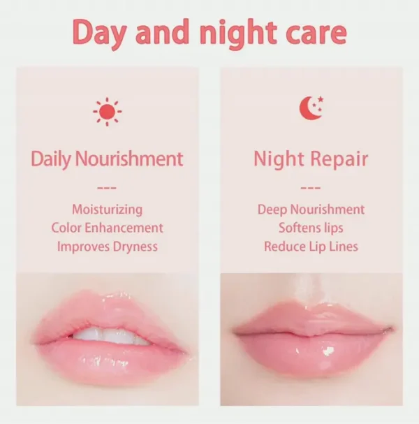 3 Bee Lip Balm Honey Pot - Exfoliating Lip Mask