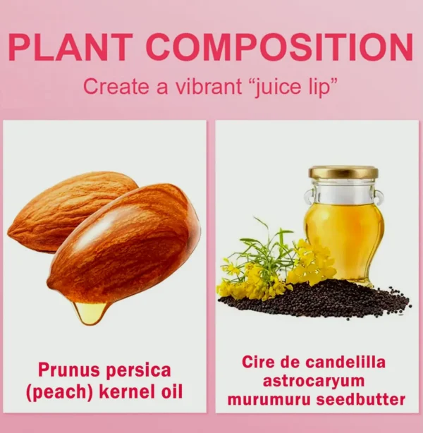Lip Shiny Balm Hydrating - Blackberry