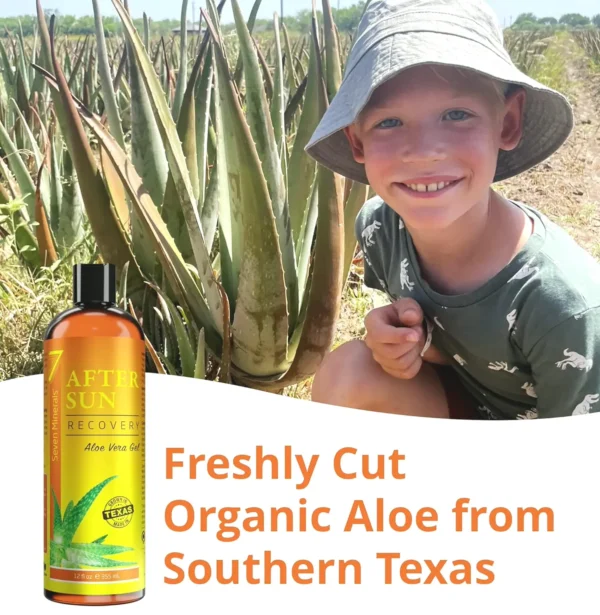 NEW Recovery After Sun Gel with Aloe Vera - Instant Help