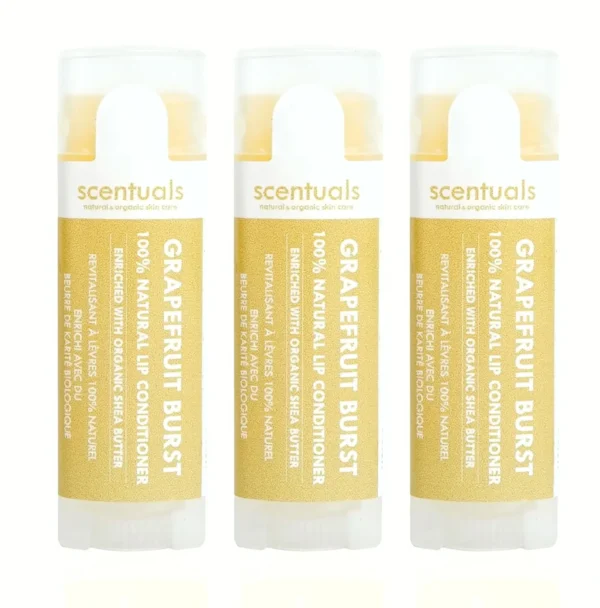 Lip Balm  Trio - Essential Oils Infused