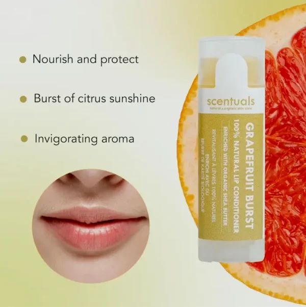 Lip Balm  Trio - Essential Oils Infused